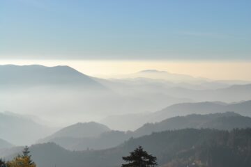 Berg- und Waldsilhouette im Nebel