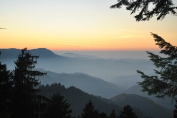 Morgenstimmung über den Wald