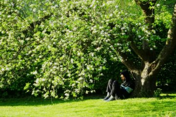 Mann sitzt am Stamm eines blühenden Baumes