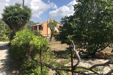 Orangenes Haus und Bäume im Garten
