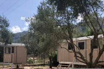 Bauwagen aus Holz zwischen Olivenbäumen