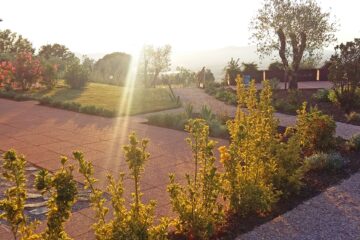 Sonnenstrahl scheint in Garten