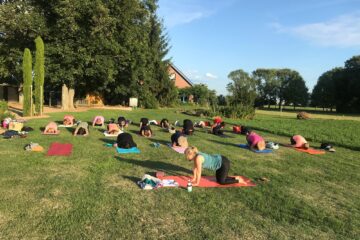 Gruppe macht Yoga auf der Wiese