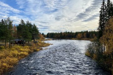 Fluss mit Stromschnellen