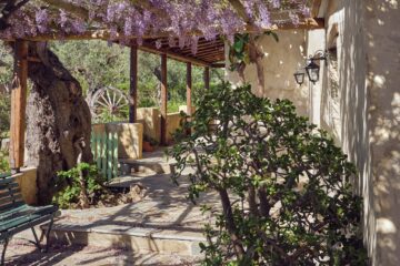 Terrasse mit Blumendach