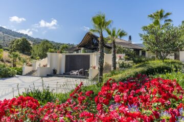 Rote Blumen und Palmen seitlich der Pflasterung