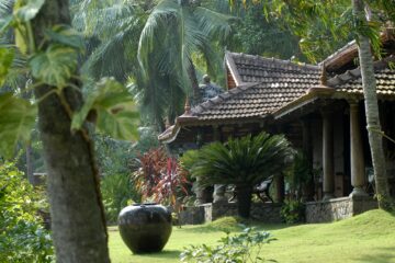 Garten mit Haus und Palmen