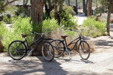 Zwei Fahrräder am Baum