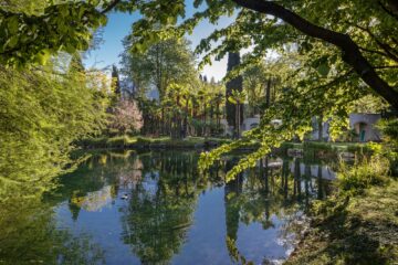 Teich mit Spiegelung Natur