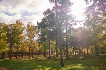 Haus versteckt im Park