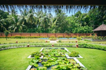 Blick auf Lotusteich und Garten