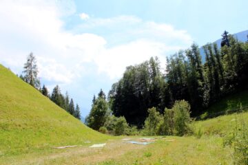 Yogamatten im Kreis auf Wiese