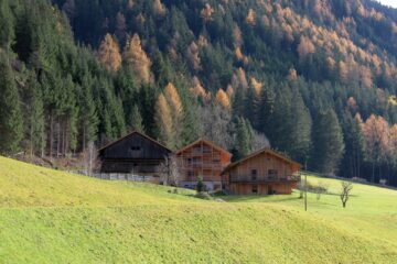 Bauernhäuser auf grüner Wiese und Wald