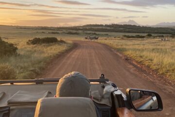 Abenteuer trifft Achtsamkeit: Eco-Safari mit Meditation in Südafrika – Bild 16