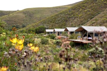 Glamping-Zelte am Hügel gelegen