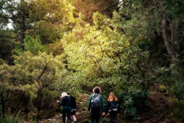 Gruppe wandert durch Wald