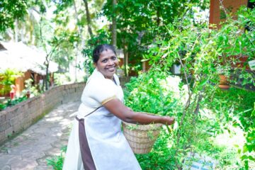 Entspannung, Verjüngung, Reinigung: Ayurveda im Soma-Manaltheeram-Resort – Bild 43