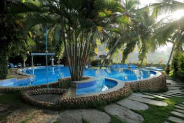Entspannung, Verjüngung, Reinigung: Ayurveda im Soma-Manaltheeram-Resort – Bild 53