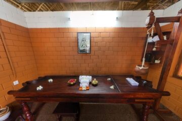 Entspannung, Verjüngung, Reinigung: Ayurveda im Soma-Manaltheeram-Resort – Bild 39