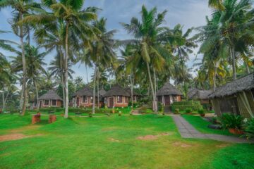 Entspannung, Verjüngung, Reinigung: Ayurveda im Soma-Manaltheeram-Resort – Bild 34