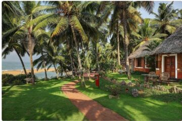 Entspannung, Verjüngung, Reinigung: Ayurveda im Soma-Manaltheeram-Resort – Bild 23