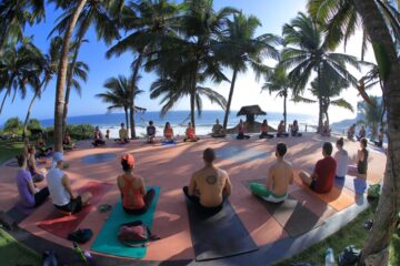 Entspannung, Verjüngung, Reinigung: Ayurveda im Soma-Manaltheeram-Resort – Bild 18