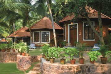 Entspannung, Verjüngung, Reinigung: Ayurveda im Soma-Manaltheeram-Resort – Bild 49