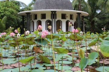 Bethsaida Hermitage Resort: Authentisches Ayurveda am Strand – Bild 30