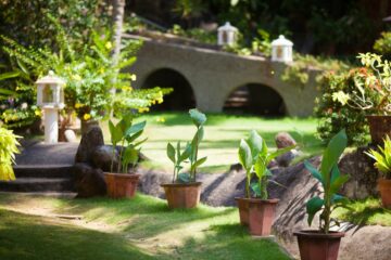 Bethsaida Hermitage Resort: Authentisches Ayurveda am Strand – Bild 54