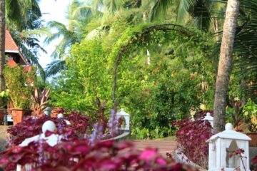 Bethsaida Hermitage Resort: Authentisches Ayurveda am Strand – Bild 35