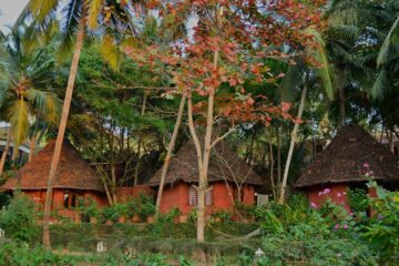 Bethsaida Hermitage Resort: Authentisches Ayurveda am Strand – Bild 26