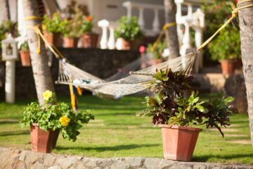 Bethsaida Hermitage Resort: Authentisches Ayurveda am Strand – Bild 49