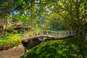 Bethsaida Hermitage Resort: Authentisches Ayurveda am Strand – Bild 3