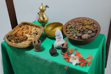 Ayurveda & Meer: Intensive Kuren in der Lotus Villa – Bild 19