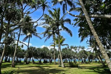 Ayurveda & Meer: Intensive Kuren in der Lotus Villa – Bild 10