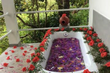 Individuelle Panchakarma-Kur im Pure Nature Ayurveda House – Bild 33