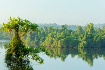 Individuelle Panchakarma-Kur im Pure Nature Ayurveda House – Bild 17