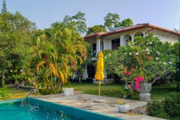 Individuelle Panchakarma-Kur im Pure Nature Ayurveda House – Bild 46