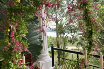 Individuelle Panchakarma-Kur im Pure Nature Ayurveda House – Bild 11
