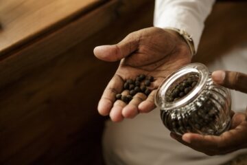 Schwarze Ayurveda-Medikamente in Form von kleinen Kügelchen in der Hand eines Arztes