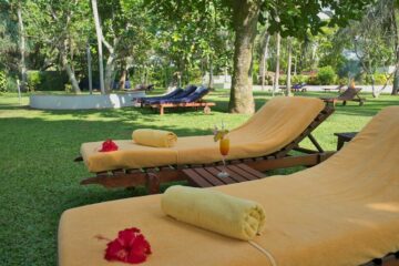 Mehrere Liegestühle mit Handtücher bestückt in einer Gartenanlage eines Hotels in Sri Lanka