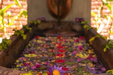 Yoga & Ayurveda Retreat im Sen Wellness Sanctuary – Bild 26