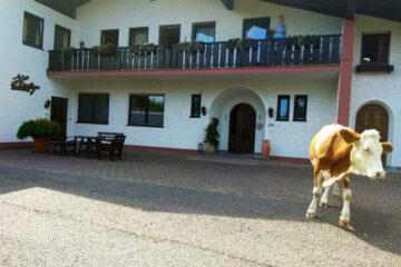 Außenansicht eines Ayurveda-Hotels in Deutschland im Odenwald