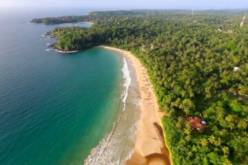 Vogelperspektive auf eine Bucht von Sri Lanka