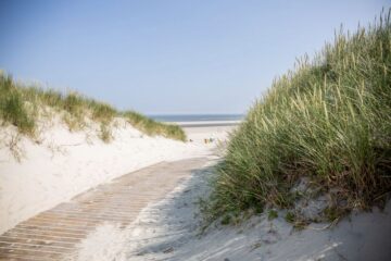 Holzpfad der zum Strand und zum Meer führt