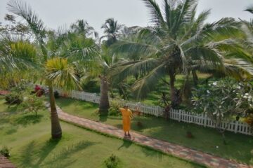 Inspirierende Kerala-Rundreise mit anschließender Ayurveda-Kur mit Susan Lange – Bild 17