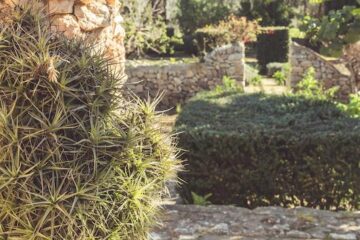 Blick in einen Garten auf Mallorca