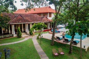 Pool vom Flamingo Marari