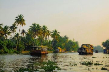 Boot in den Backwaters