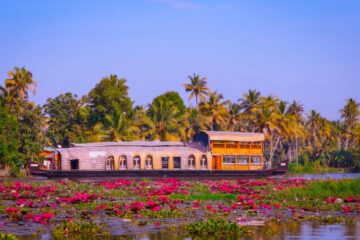 Boot in den Backwaters